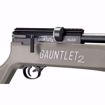 Umarex Gauntlet 2 SL22 PCP Pellet Rifle