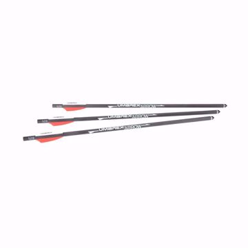 AirJavelin Air Archery Arrows with Field Tips 6-pack