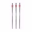 AirJavelin Air Archery Arrows with Field Tips 6-pack