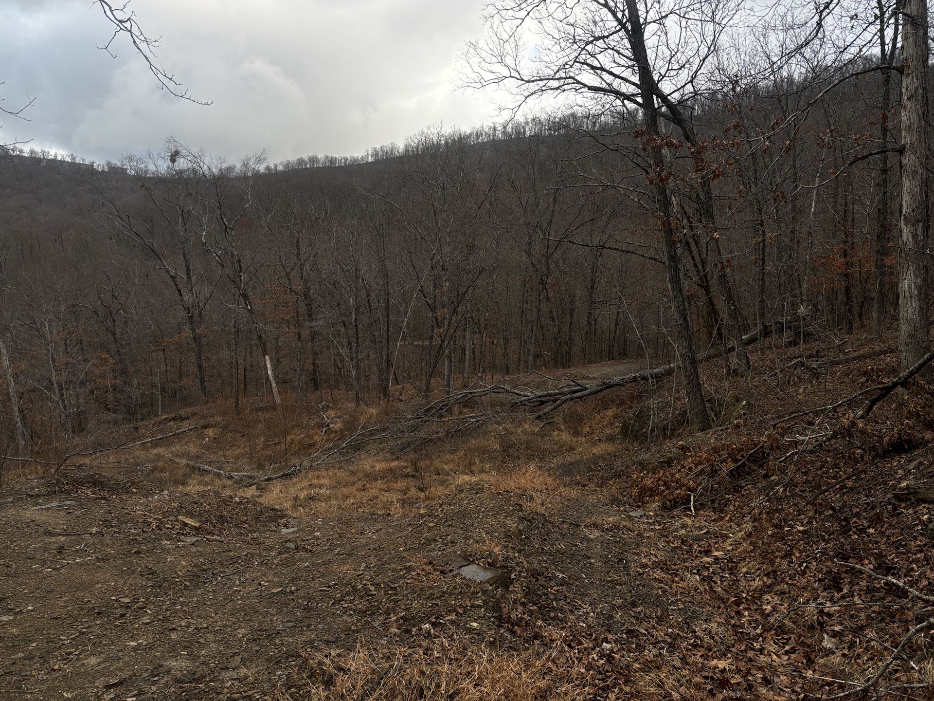 A road washed out from flood damage