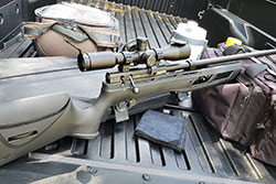 Umarex Gauntlet in a pick-up truck bed